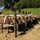DSC01464.JPG