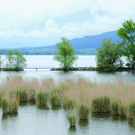 Hochwasserschutz_jpg-1317277283