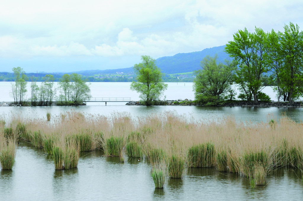 Hochwasserschutz_jpg-1317277283