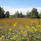 DSC00697_JPG-1317300880