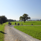 DSC00735_JPG-1317301038