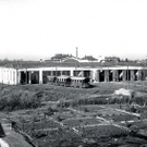 Foto6.jpg