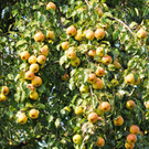 Most 29_09_2011 18_jpg-1317312441