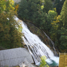 normal_29092011fmt_herbstingastein_mw_24.JPG