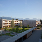 Von der Anziehungskraft des Lerchenparks