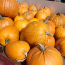 DSC07677.JPG