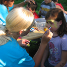 IMG_7526_JPG-1317418086
