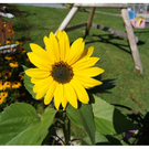 DSC01217.JPG
