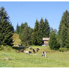 DSC01856.JPG