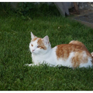 DSC00630.JPG