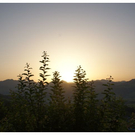 DSC01871 _3_.JPG