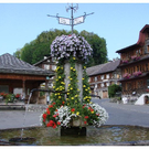 DSC04508.JPG