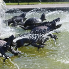 normal_30092011herrenchiemseeffaktivnews_099.jpg