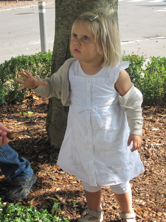 IMG_0629_JPG-1317457252