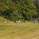 Imgp5375.jpg