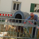 DSC_0918.JPG