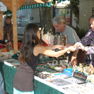 DSC_0921.JPG