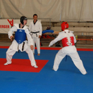 DSC_0954.JPG