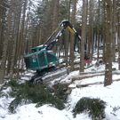 Feldkirchs Forstabteilung