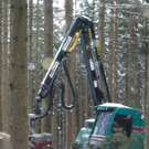 Raupenharvester 3_jpg-1317557841