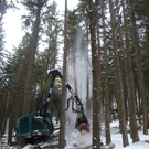 Raupenharvester 2_jpg-1317557767