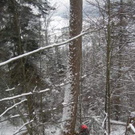 Bild 020_jpg-1317557443