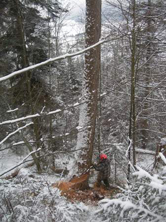 Bild 020_jpg-1317557443