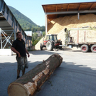 P1040562_JPG-1317557656