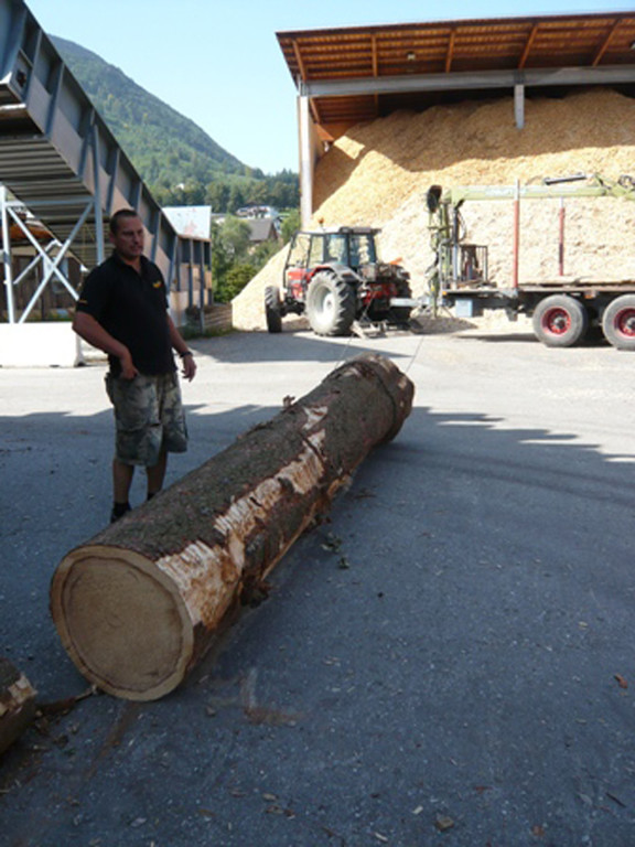 P1040562_JPG-1317557656