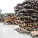 DSCN8616_JPG-1317557470