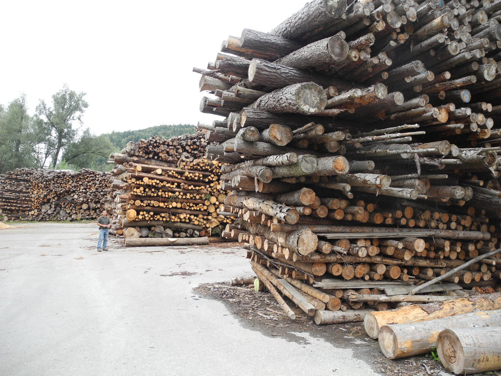 DSCN8616_JPG-1317557470