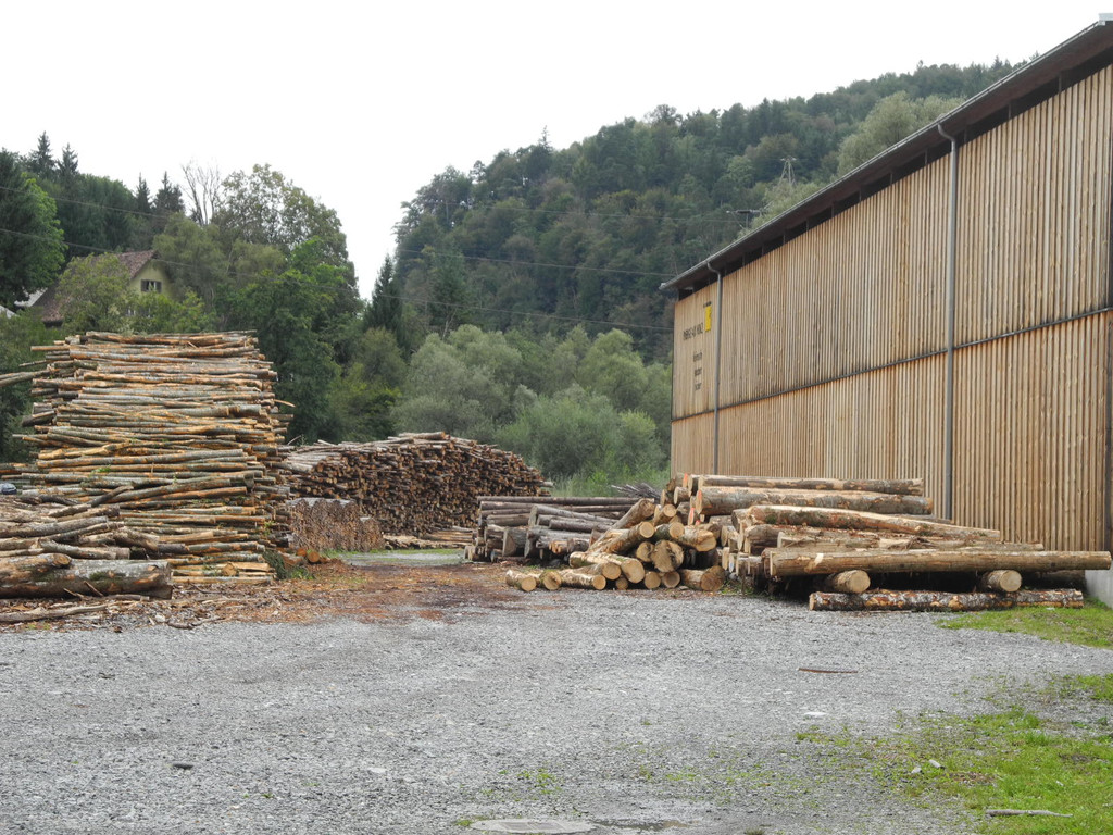 DSCN8621_JPG-1317557542