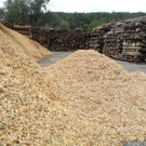 DSCN8619_JPG-1317557509