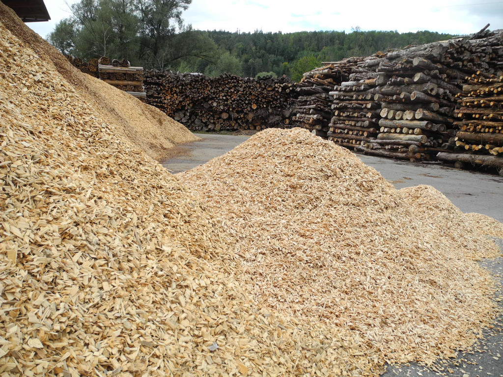 DSCN8619_JPG-1317557509