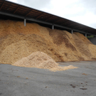 DSCN8618_JPG-1317557496