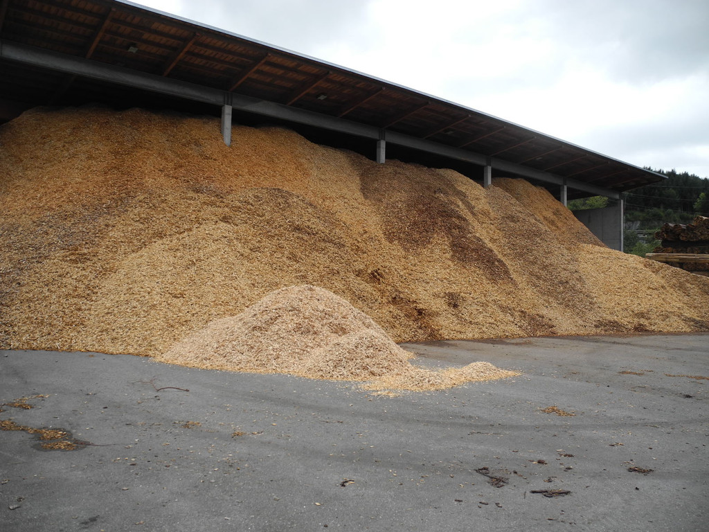 DSCN8618_JPG-1317557496