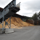 DSCN8617_JPG-1317557482