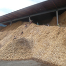 P1040685_JPG-1317557678