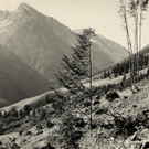 Sturm 1954 1_JPG-1317557849