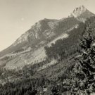 Sturm 1954 2_JPG-1317557853