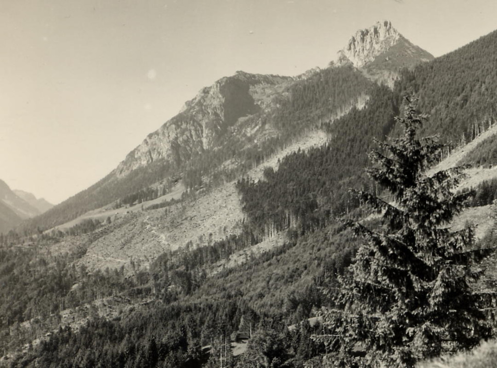 Sturm 1954 2_JPG-1317557853