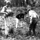 T__nnelesetzen_JPG-1317557858