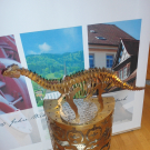 DSC07786.JPG