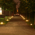 IMG_0060_JPG-1317567204