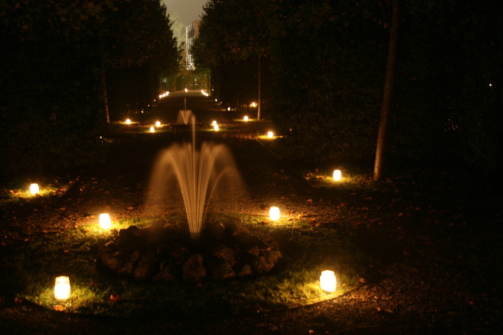 IMG_0062_JPG-1317567218