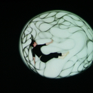 IMG_0082_JPG-1317567347