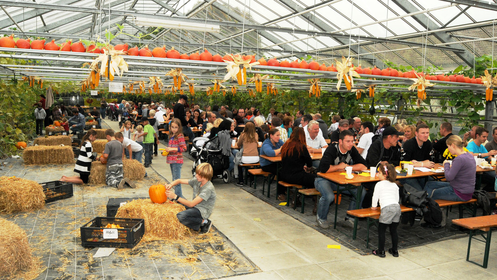 Mahlerhof H__chst b 02_10_2011 5_jpg-1317580055