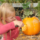 Mahlerhof H__chst 02_10_2011 13_jpg-1317580431