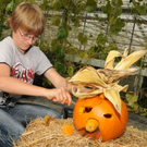 Mahlerhof H__chst 02_10_2011 28_jpg-1317580527