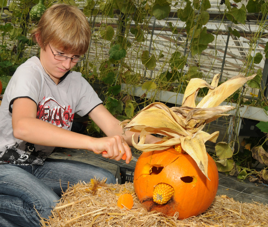 Mahlerhof H__chst 02_10_2011 28_jpg-1317580527